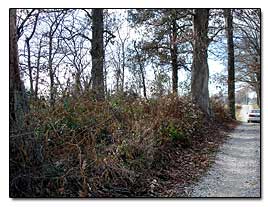 Stateler Cemetery Location